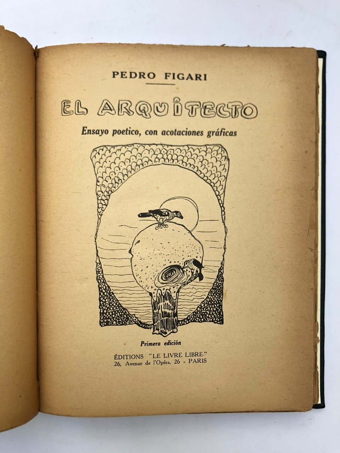 FIGARI, Pedro