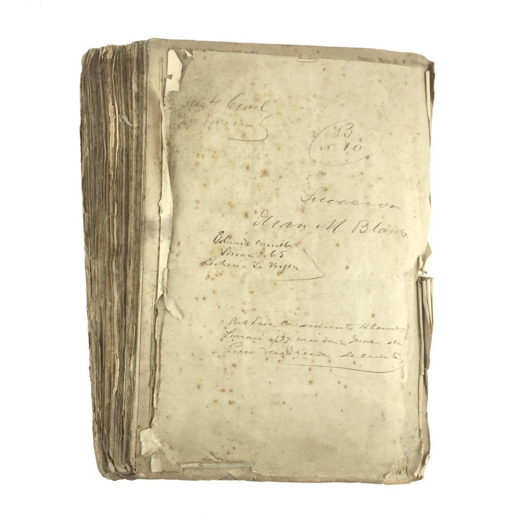 Expediente sucesorio "Juan Manuel Blanes"