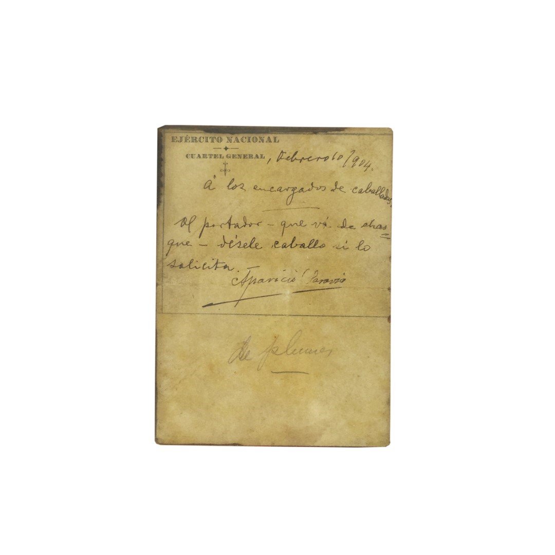 Documento "Aparicio Saravia"