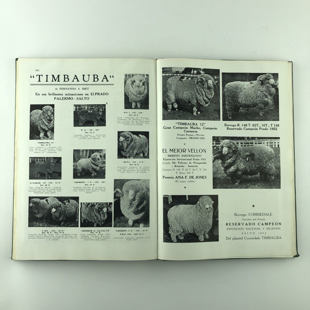 Registros genealógicos - Imagen 2