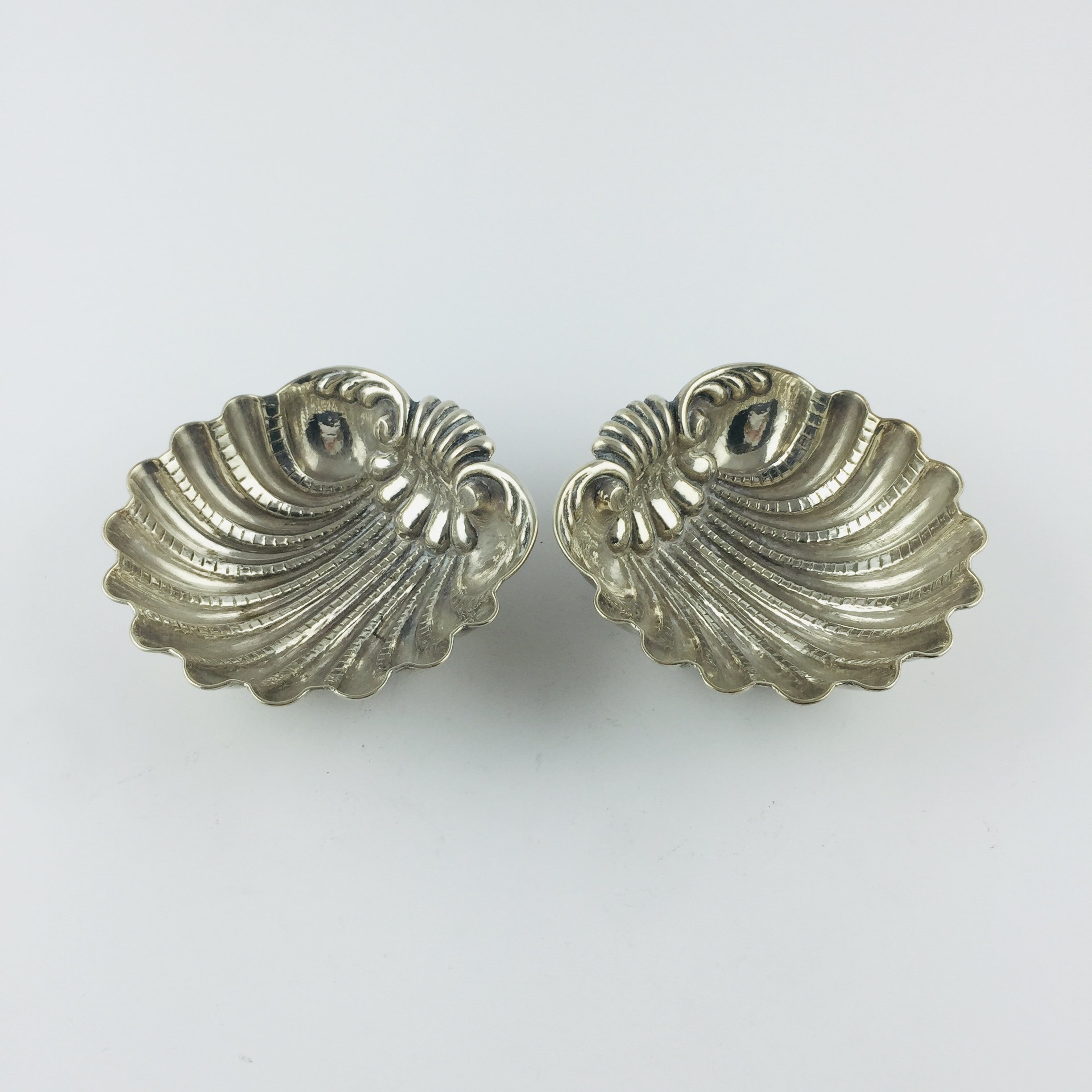 Par de coquillas en plata