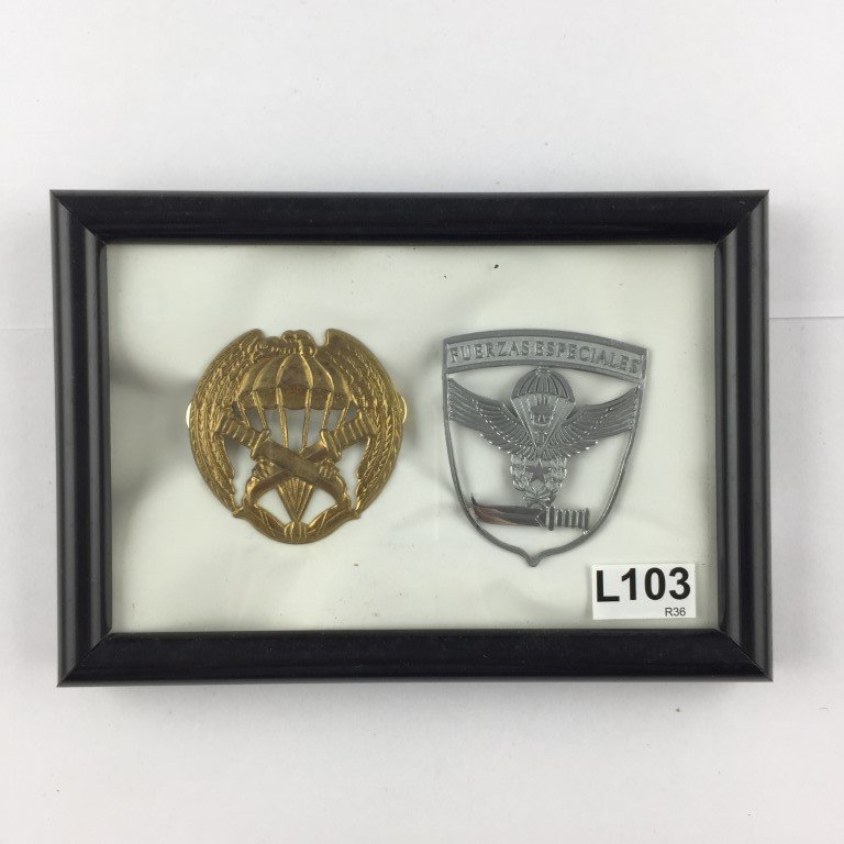 Dos insignias del ejército chileno