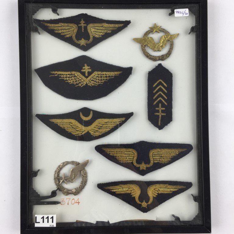 Seis parches y dos pins