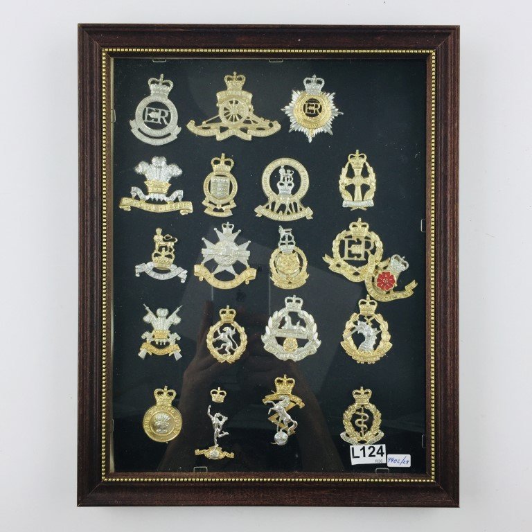 Veinte insignias regimentales