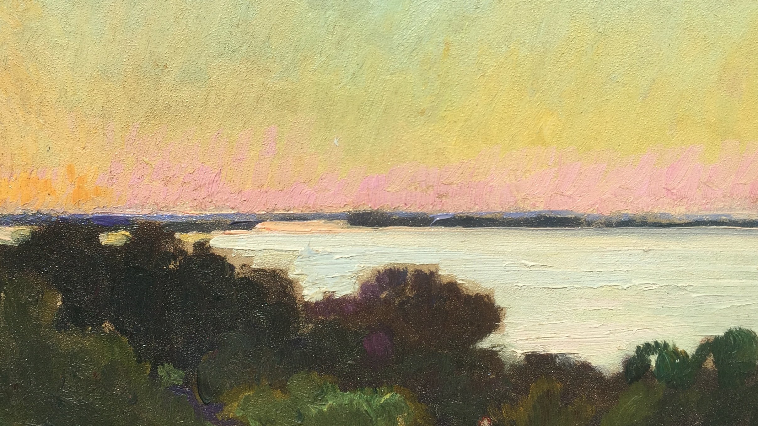 Pedro Blanes Viale: pintor de dos mundos