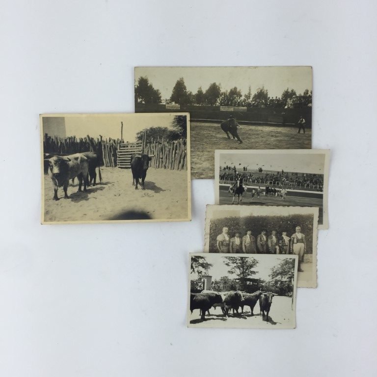 Fotografías taurinas