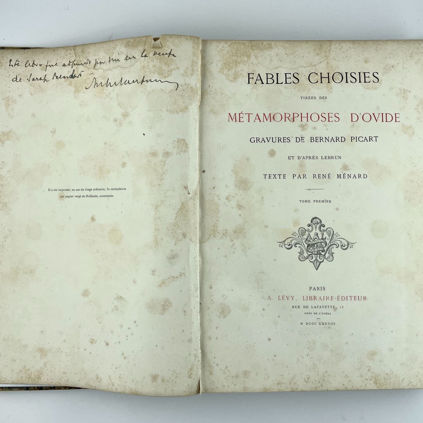 "Las metamorfosis" - Imagen 2