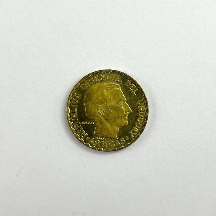 Moneda uruguaya en bronce - Imagen 2
