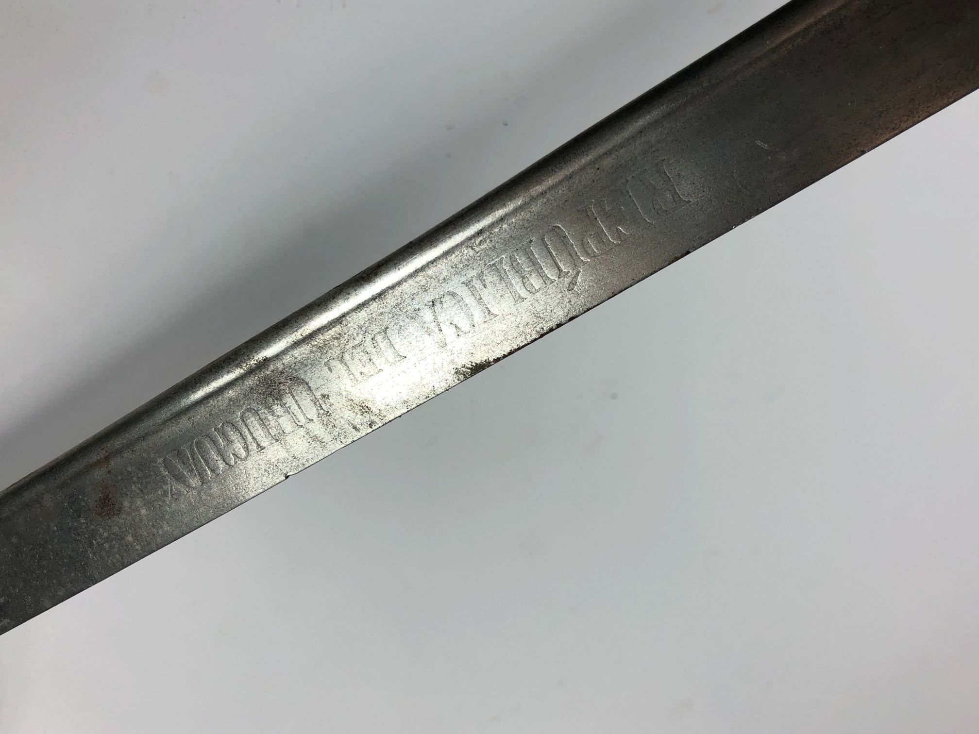 Sable uruguayo - Imagen 2