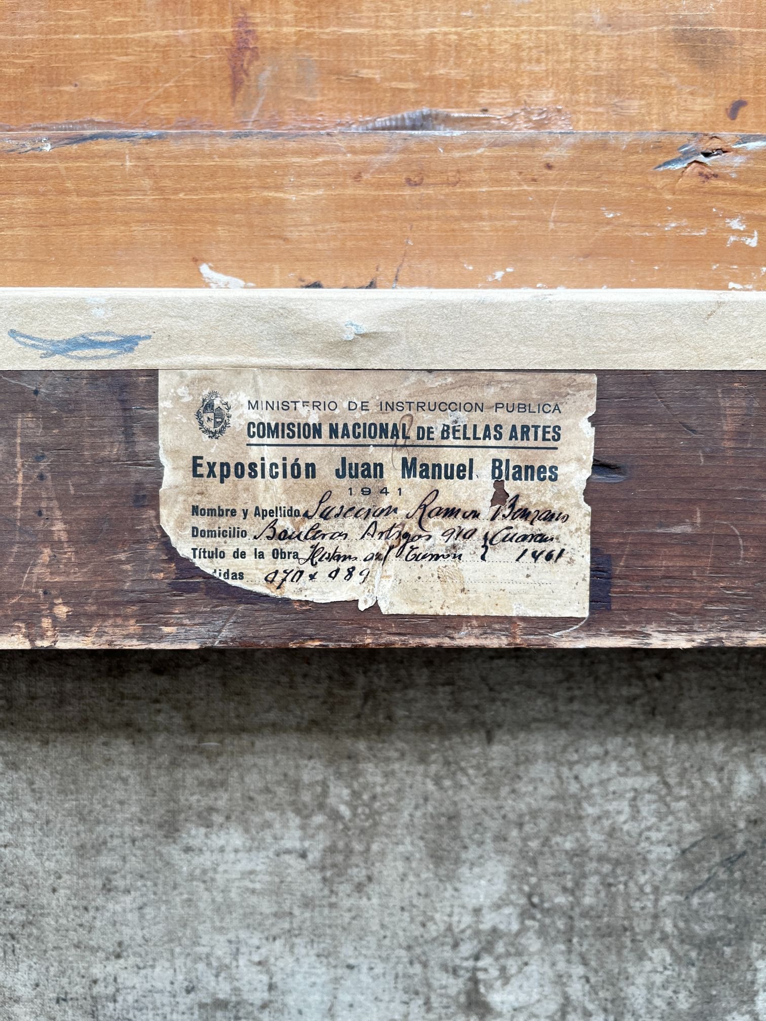 Juan Manuel Blanes - Imagen 5