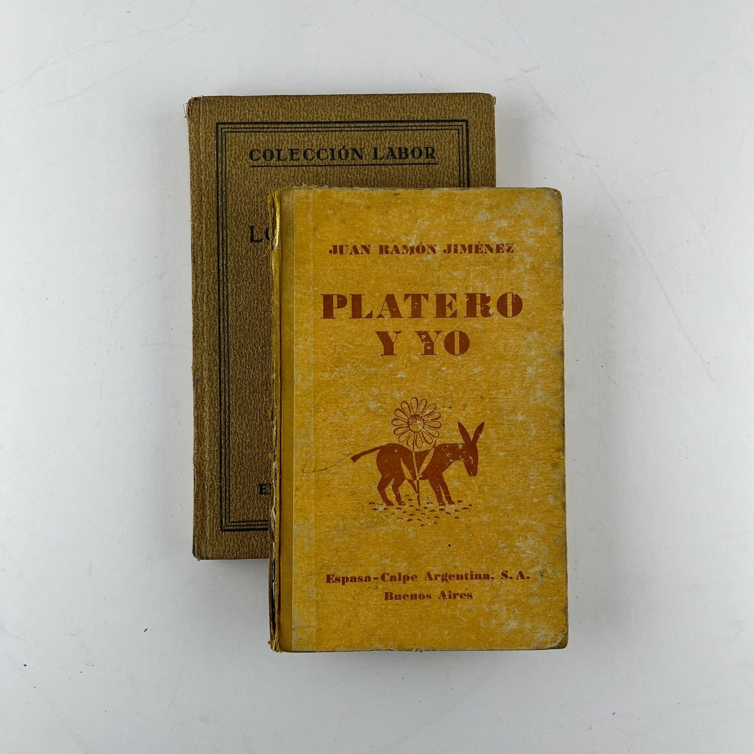 Wilson Ferreira Aldunate