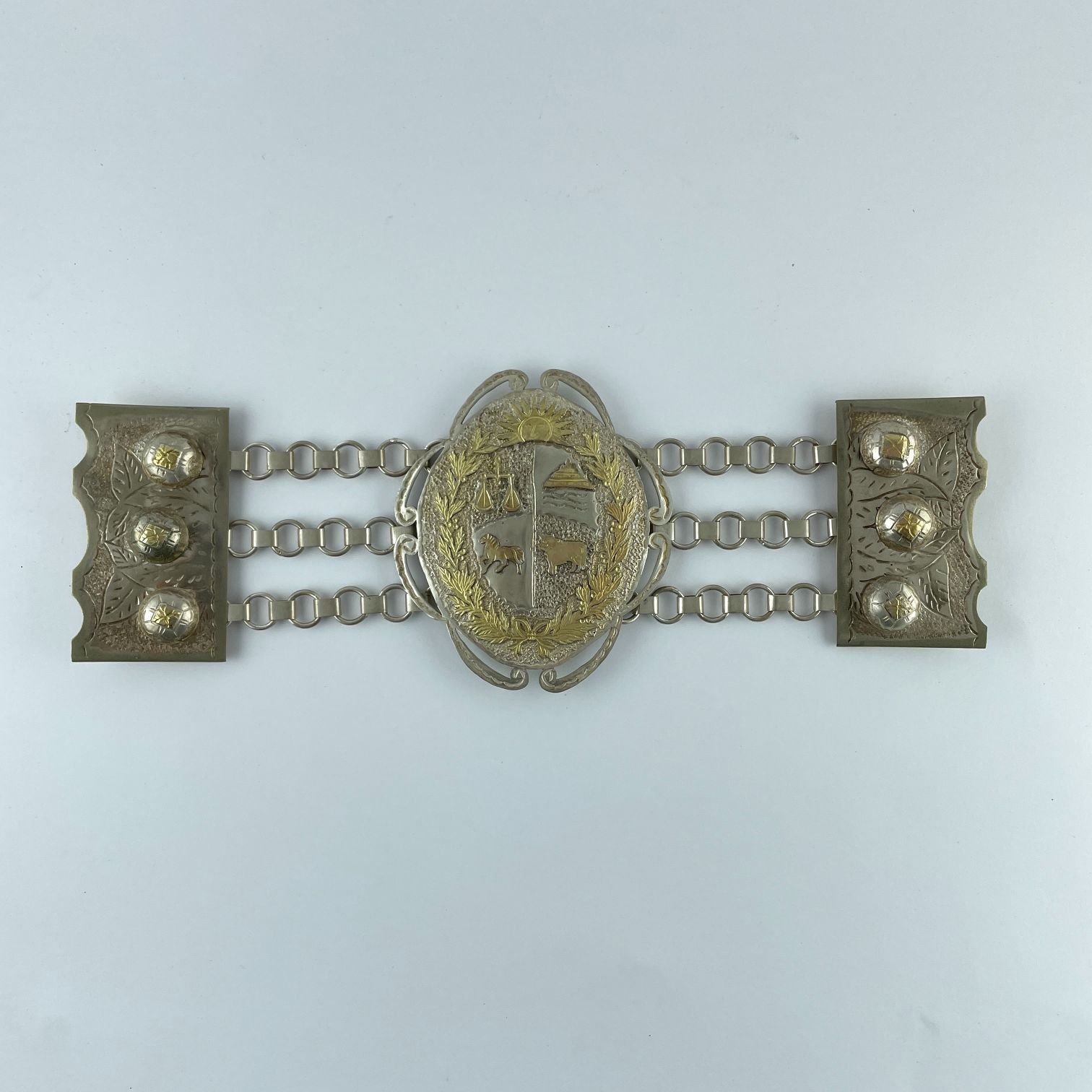 Rastra gaucha en plata y oro