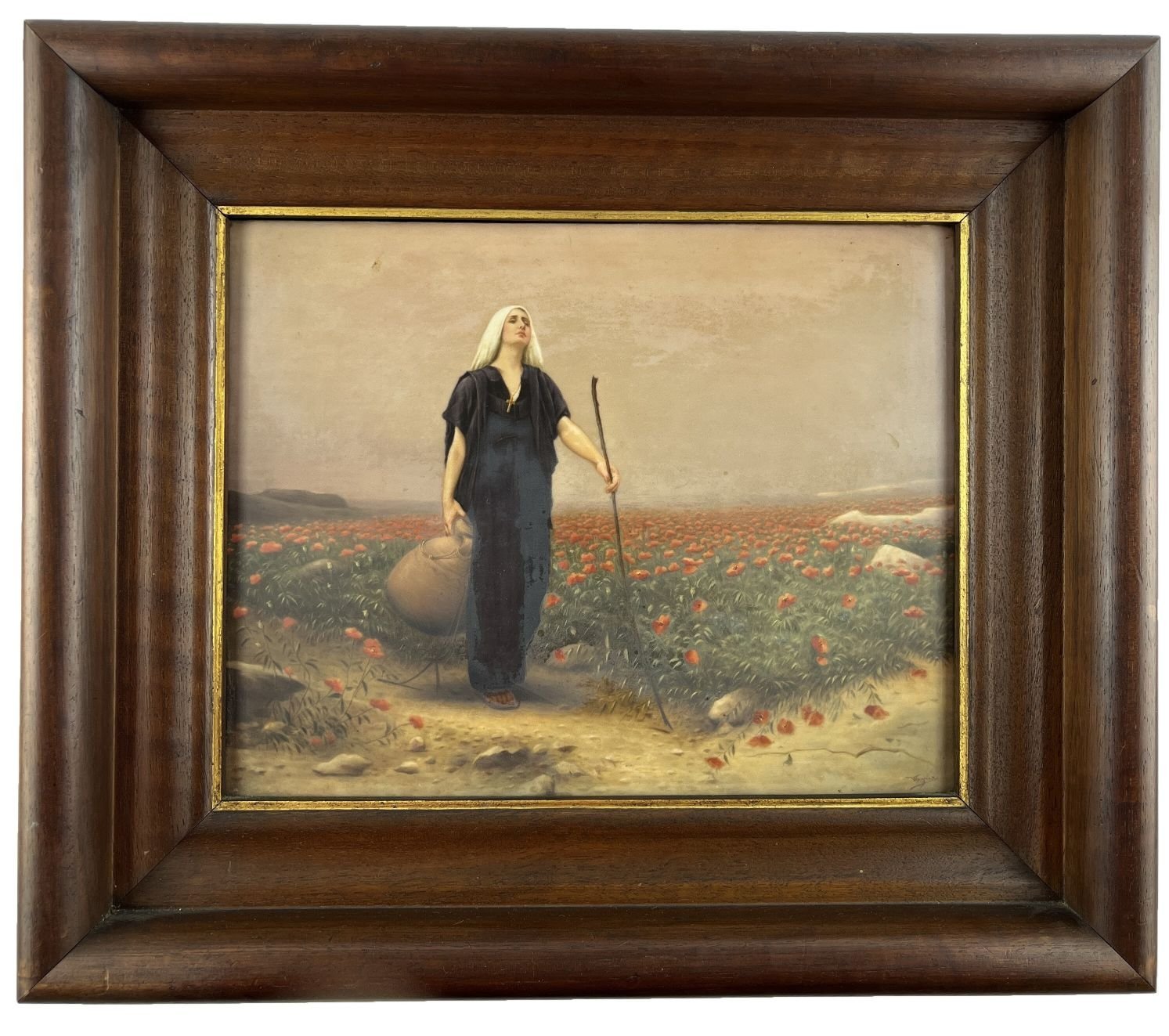 Placa europea en porcelana