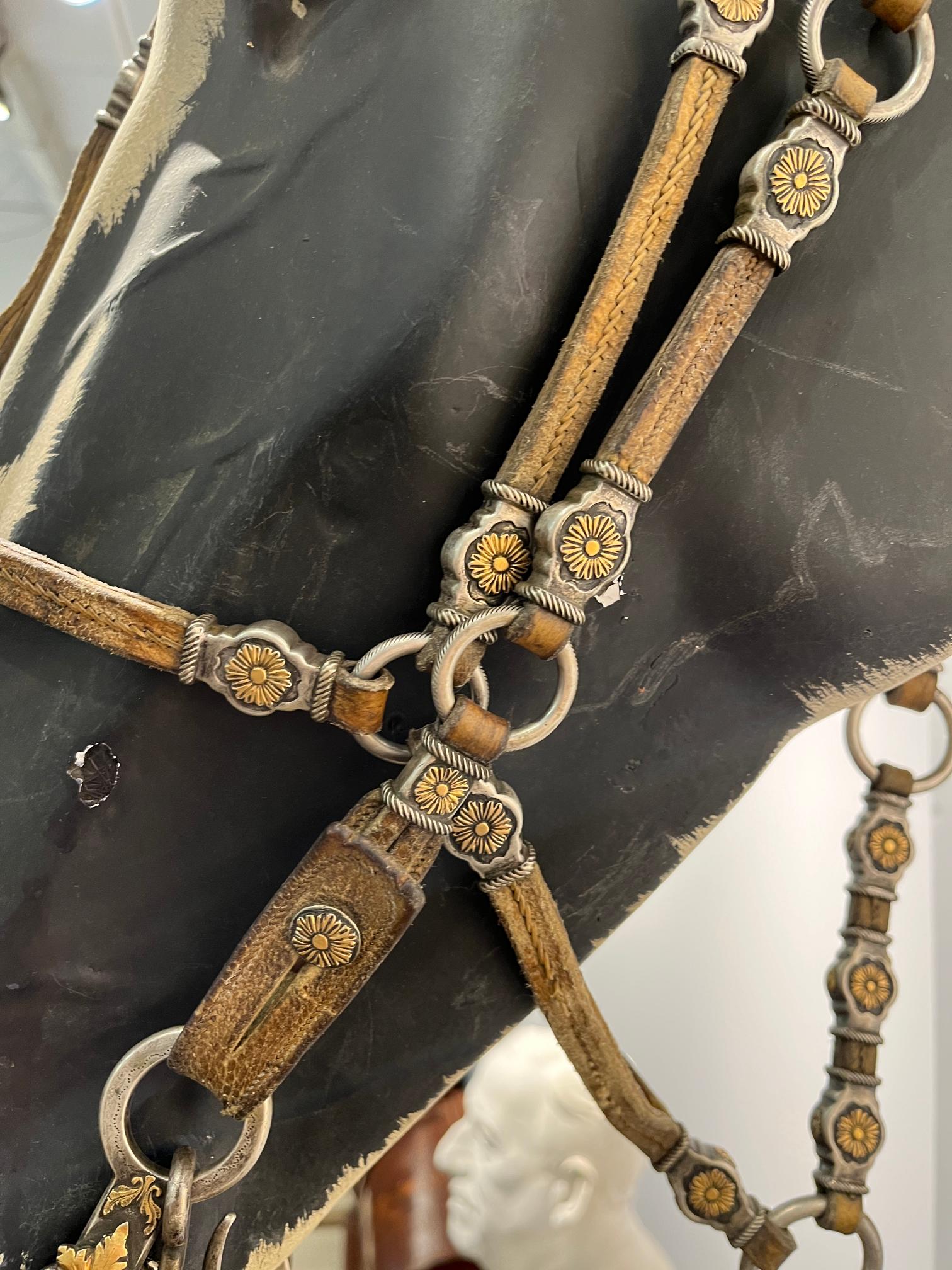 Juego de freno y bozal en cuerp, hierro, plata, oro y metal - Imagen 3