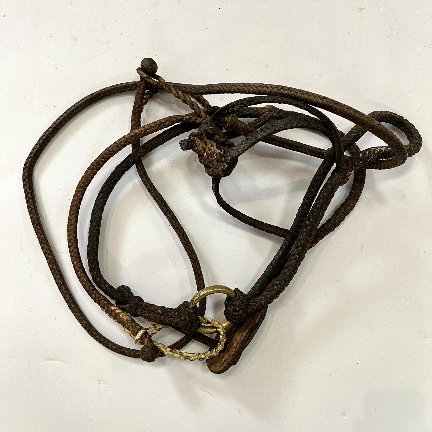 Bozal en cuero crudo y bronce