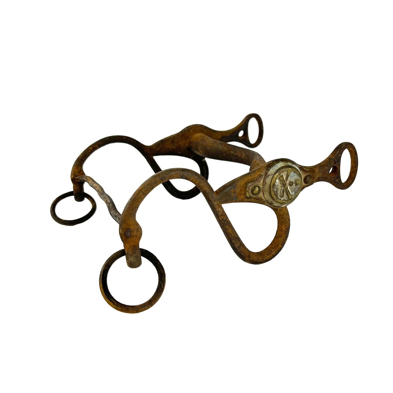 Freno militar uruguayo s. XIX