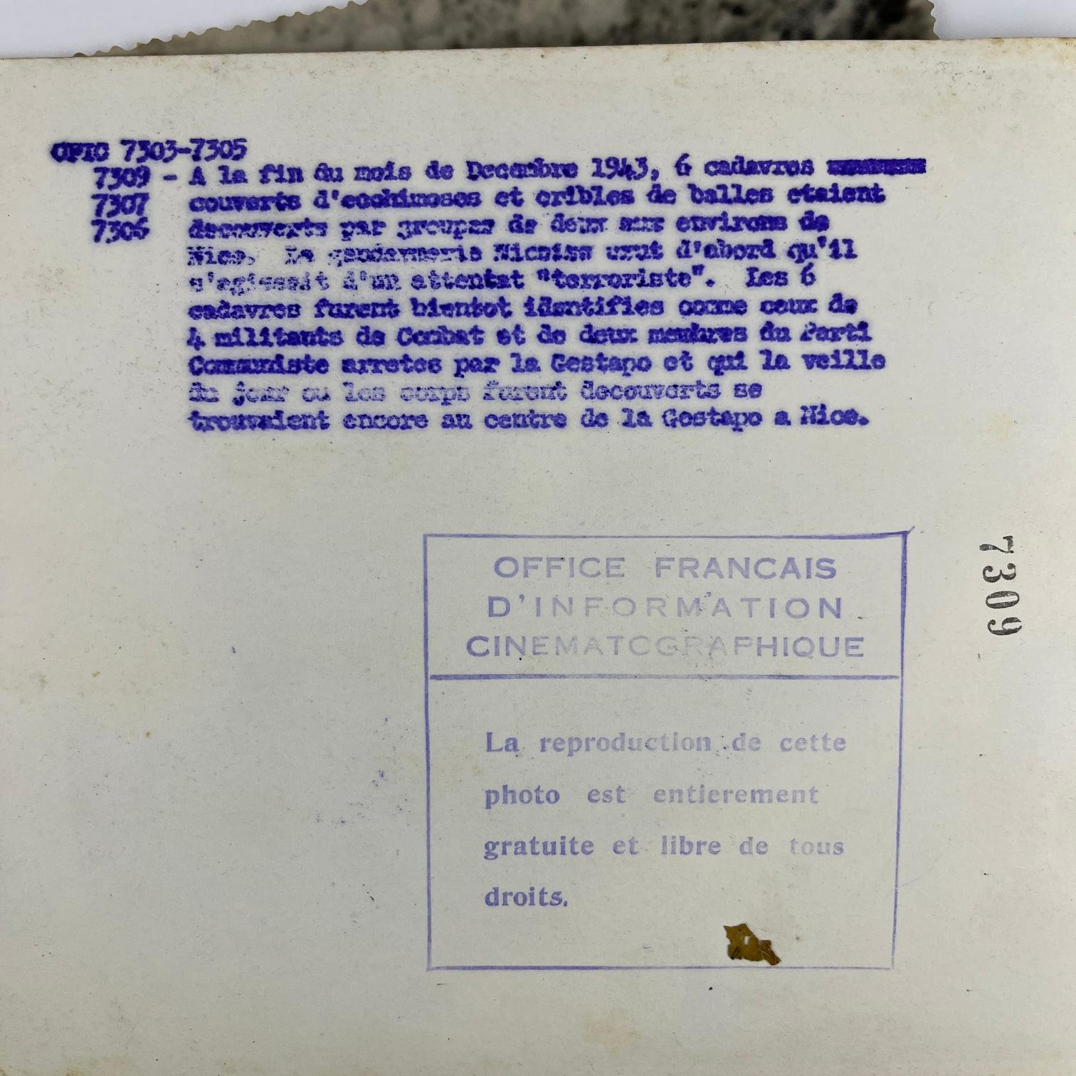 Fotografías de campos de exterminio nacionalsocialistas - Imagen 2