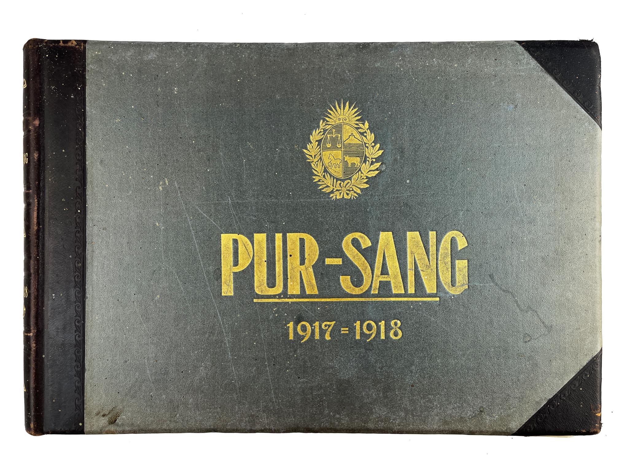 Pur-Sang. Cabañas y estancias del Uruguay