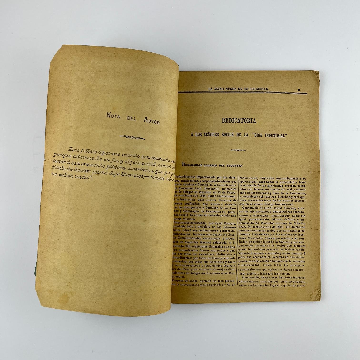 La mano negra en un colmenar - Imagen 2