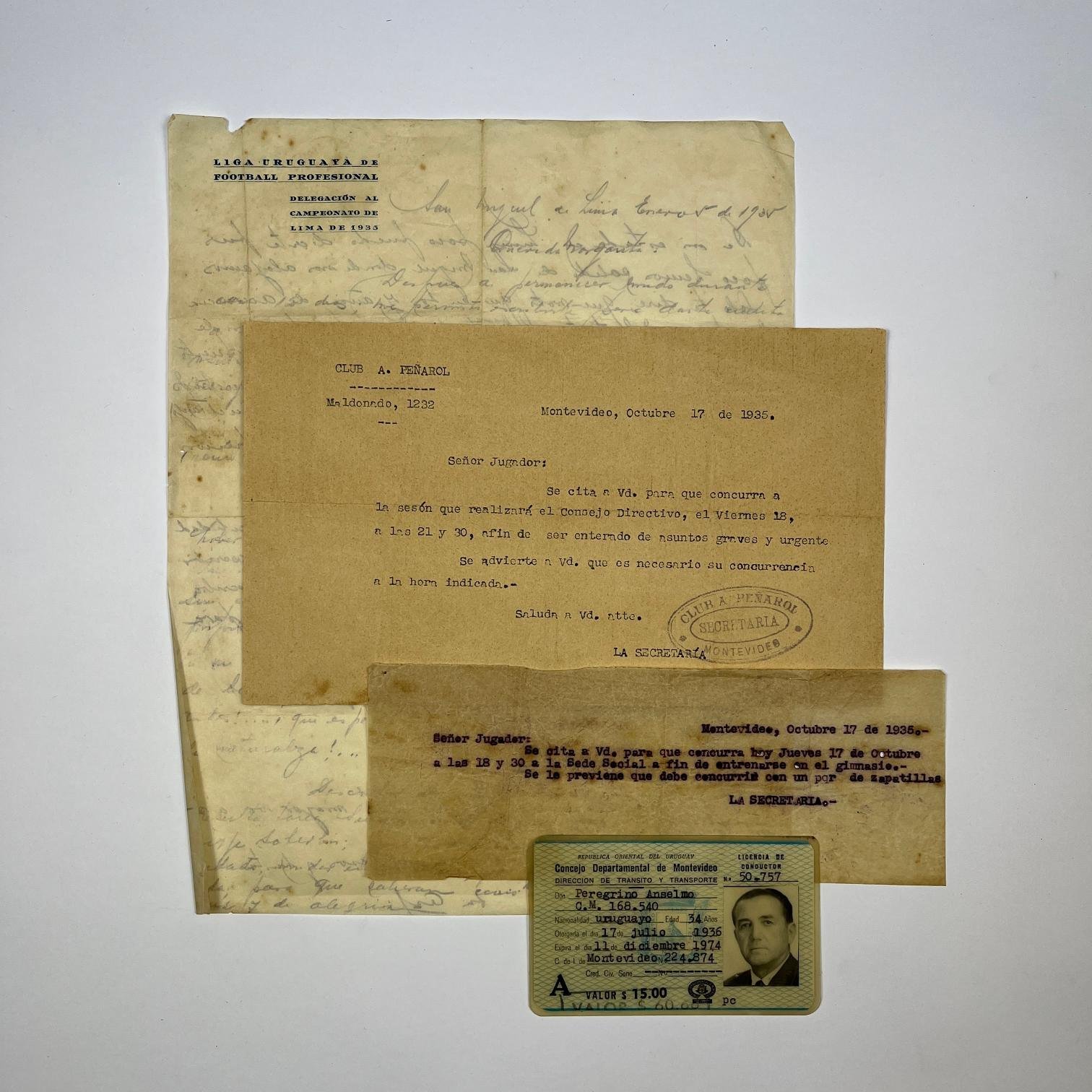 Documentos Pelegrino Anselmo