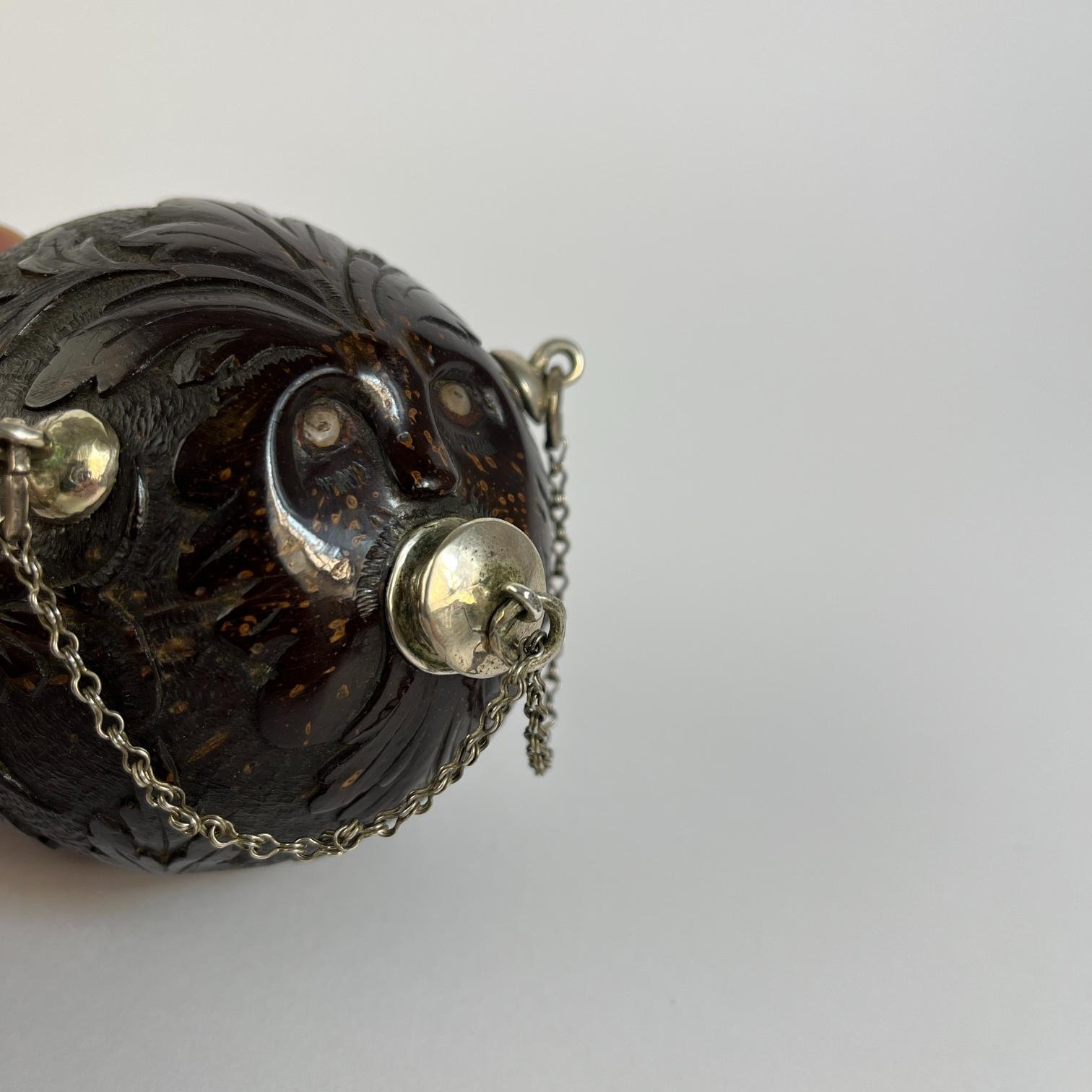 Polvorera hispanoamericana - Imagen 3