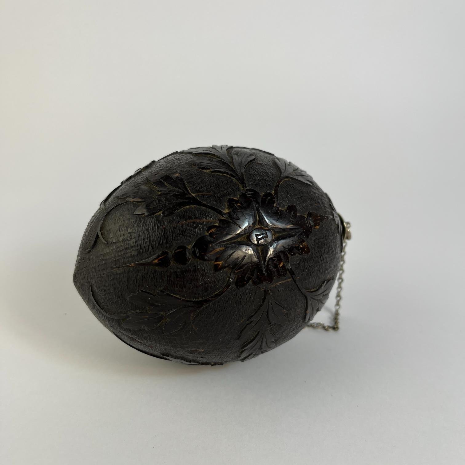 Polvorera hispanoamericana - Imagen 4