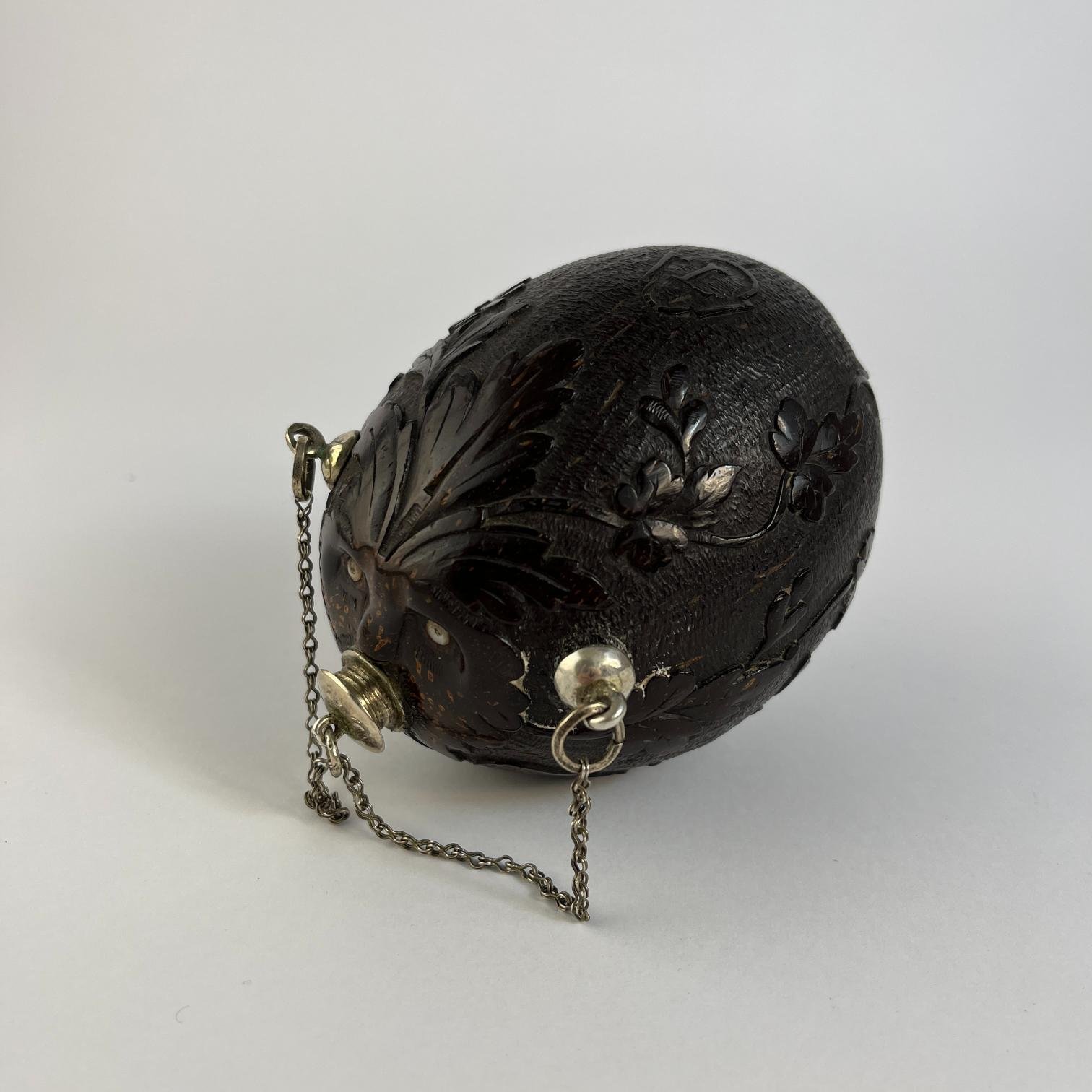 Polvorera hispanoamericana - Imagen 5