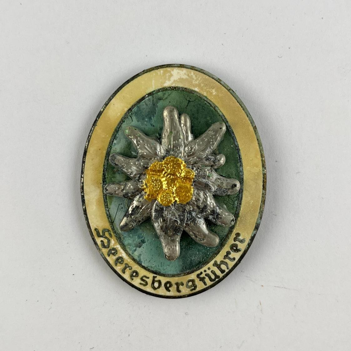 Insignia Alemania nacionalsocialista