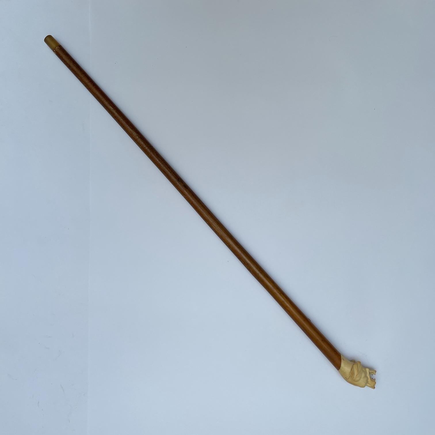 Bastón en caña cabeza de perro