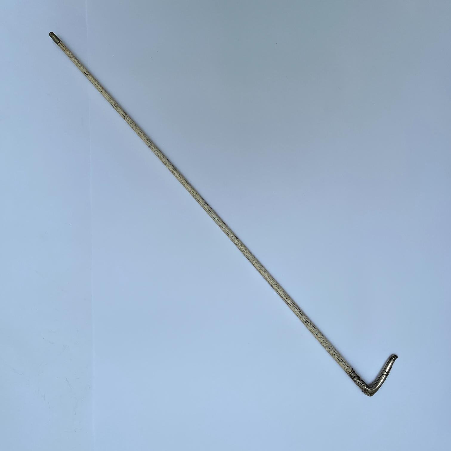 Bastón art nouveau en hueso de ballena