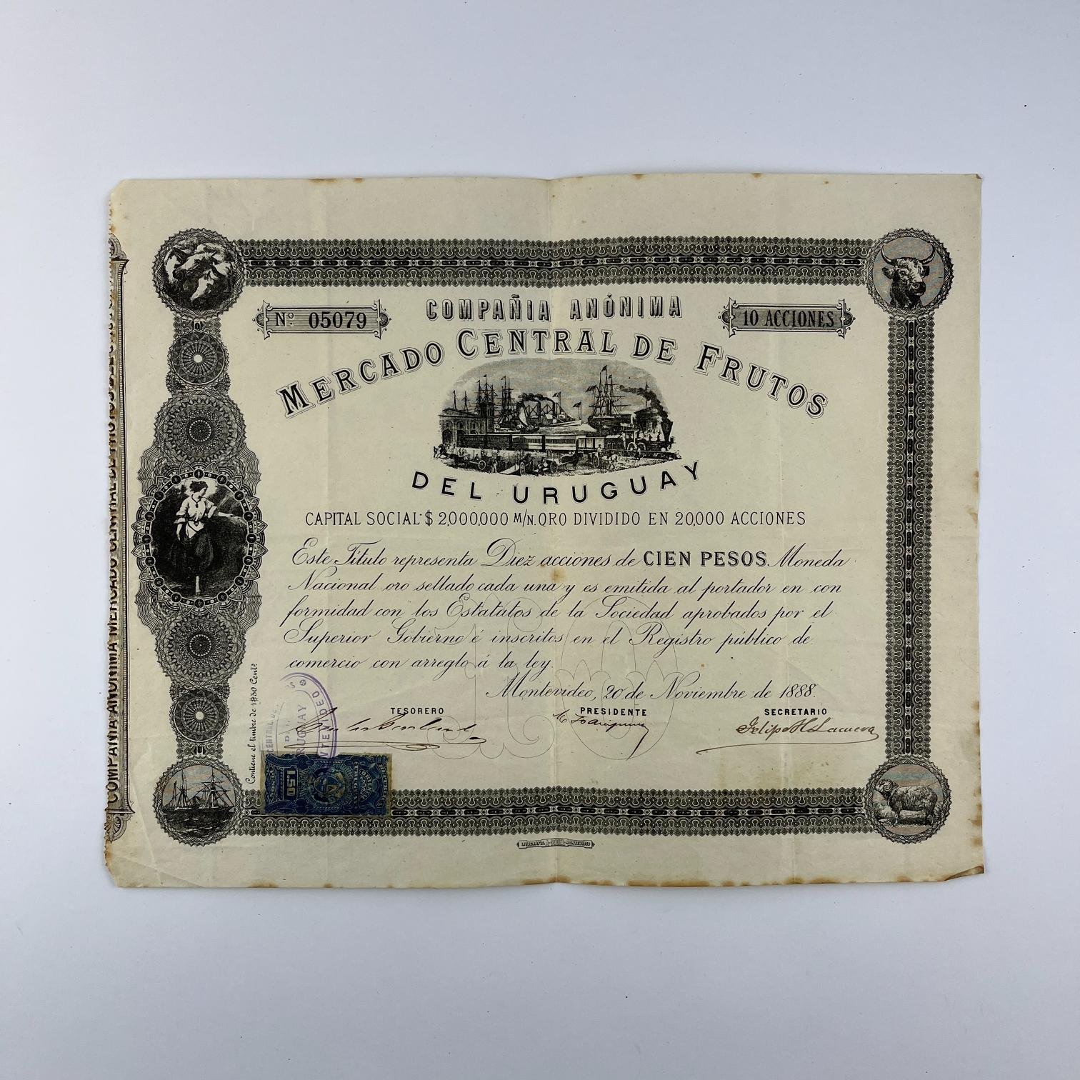 Acción 100 pesos Compañía Anónima del Mercado Central de Frutos 1888