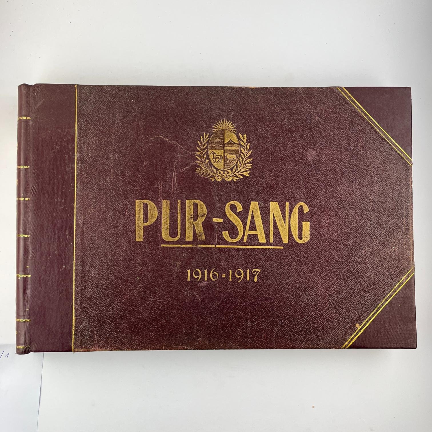Pur-Sang 1916 y 1917