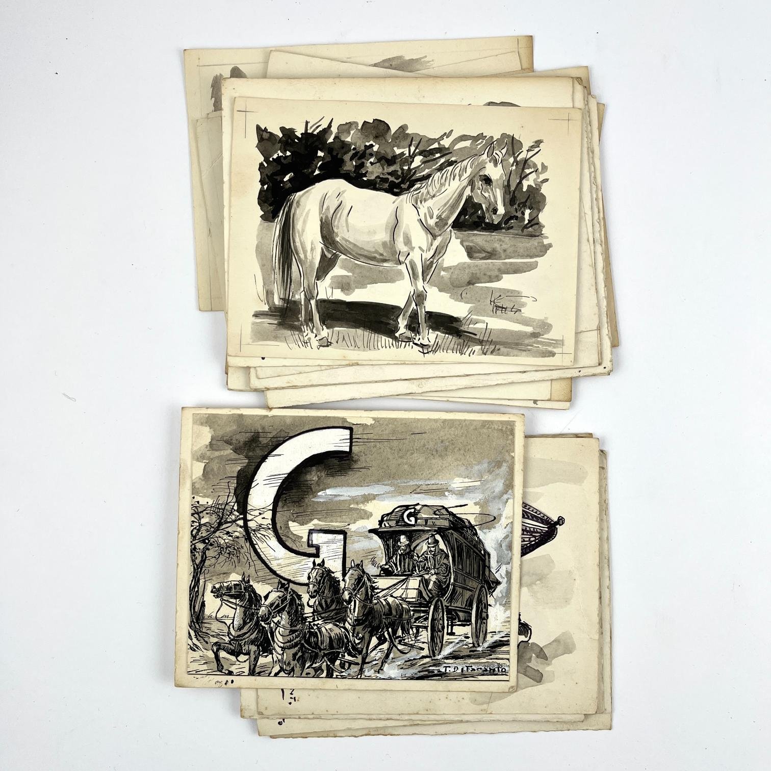 TOMÁS DI TARANTO - AGENOR A. PACHECODiccionario Gaucho. - Imagen 3