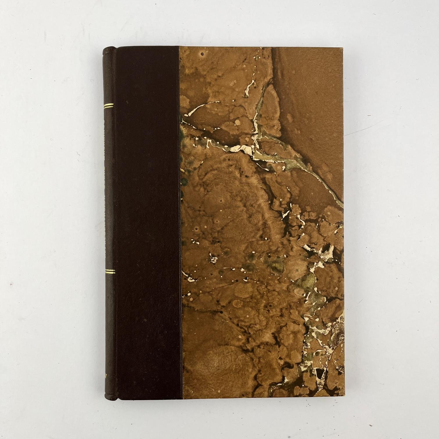 MARÍA DE LOS ÁNGELES CERVANTES DE MAGARIÑOSRepresentación que hace a la H. Cámara de Representantes de la República Oriental del Uruguay, la Señora Da. (...) - Imagen 2