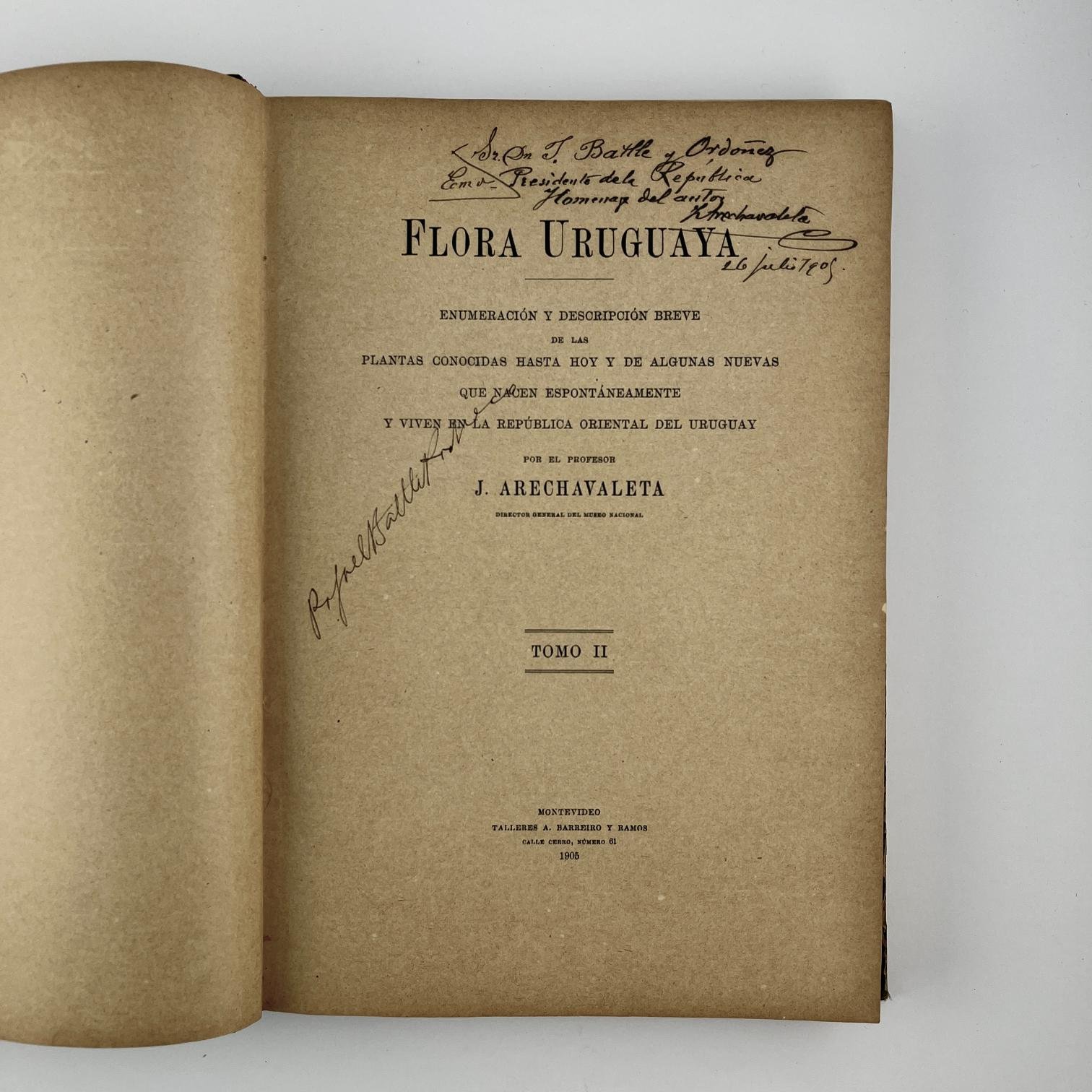 JOSÉ ARECHAVALETA
Flora Uruguaya