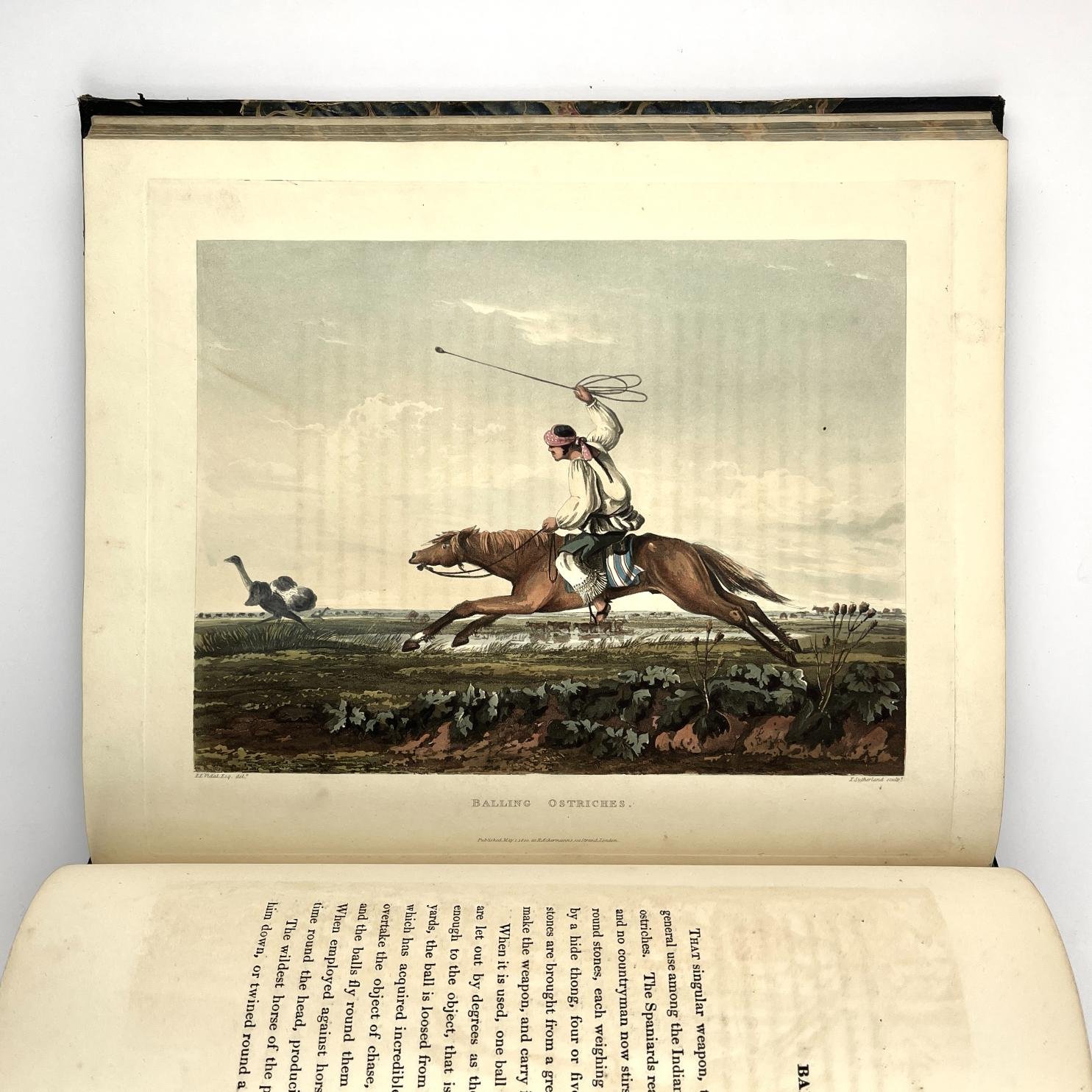 EMERIC ESSEX VIDAL
Buenos Ayres and Monte Video, consisting of (…) - Imagen 3