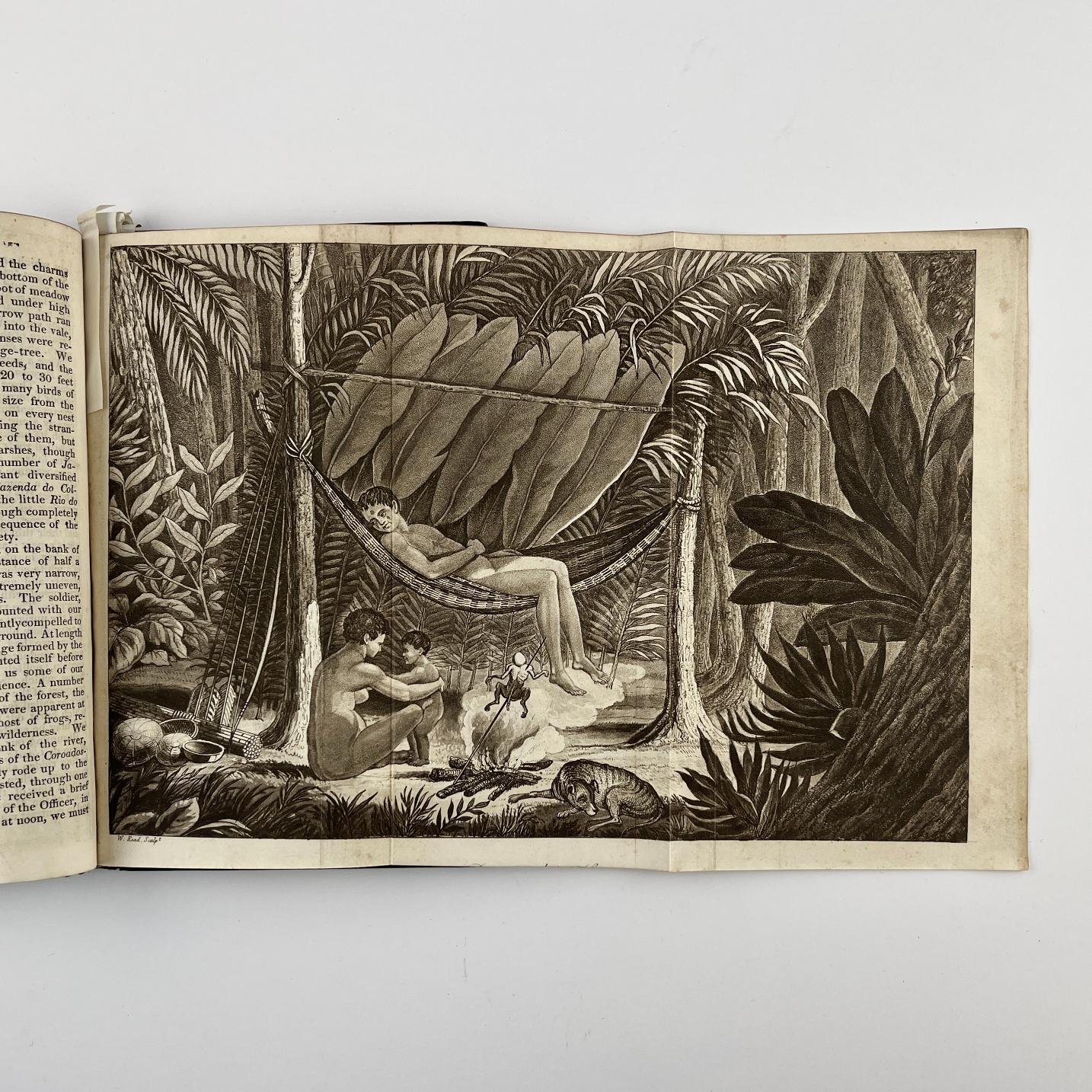 PRINCE MAXIMILIAN
Travels in Brazil, in 1815, 1816 and 1817. - Imagen 2