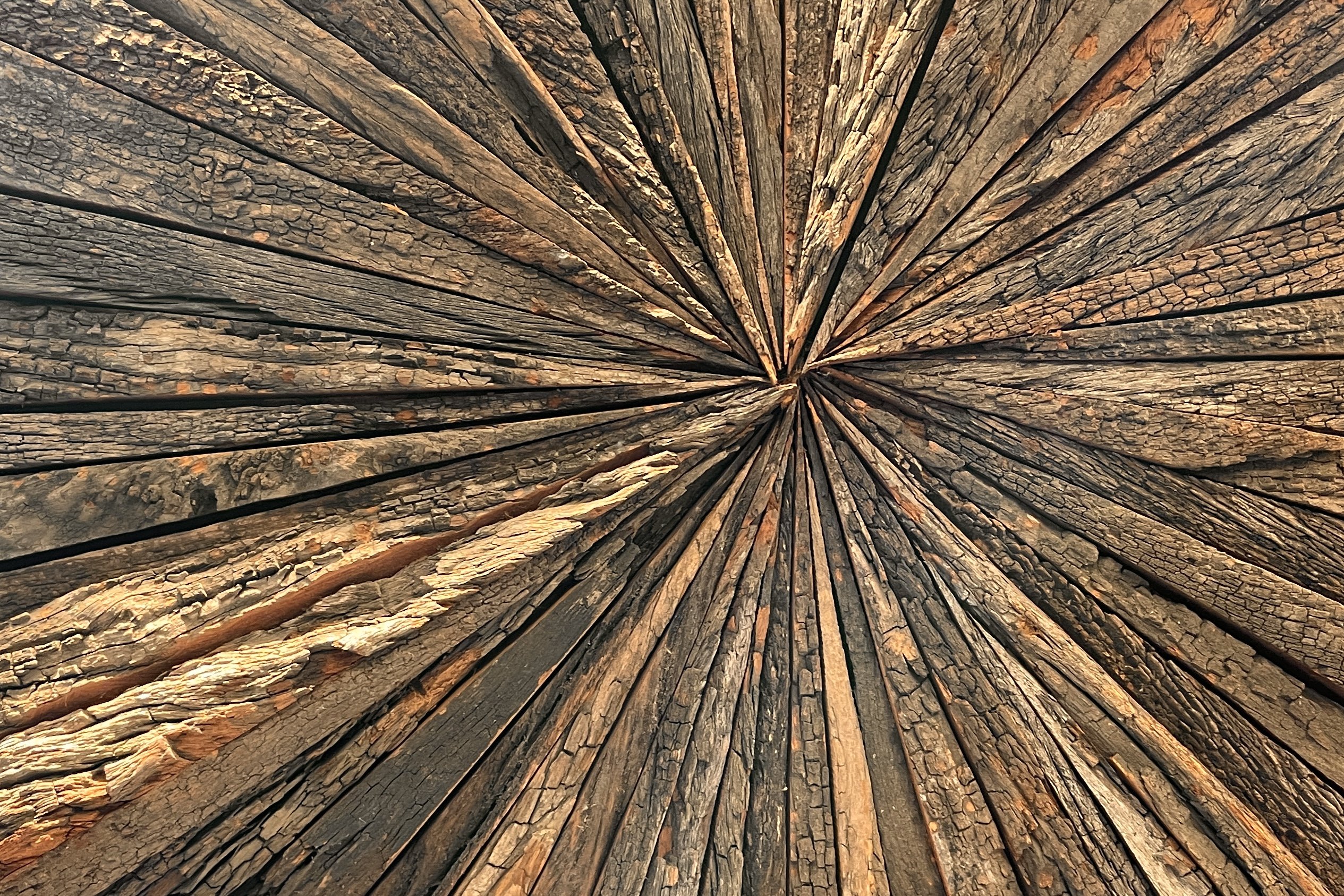 El leñador triunfal