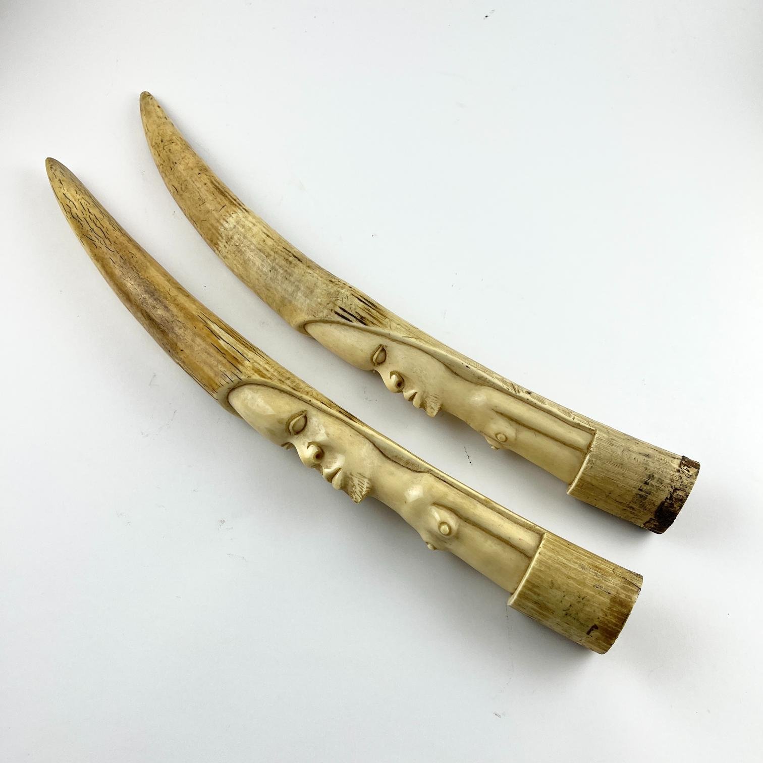 Par de colmillos de elefante