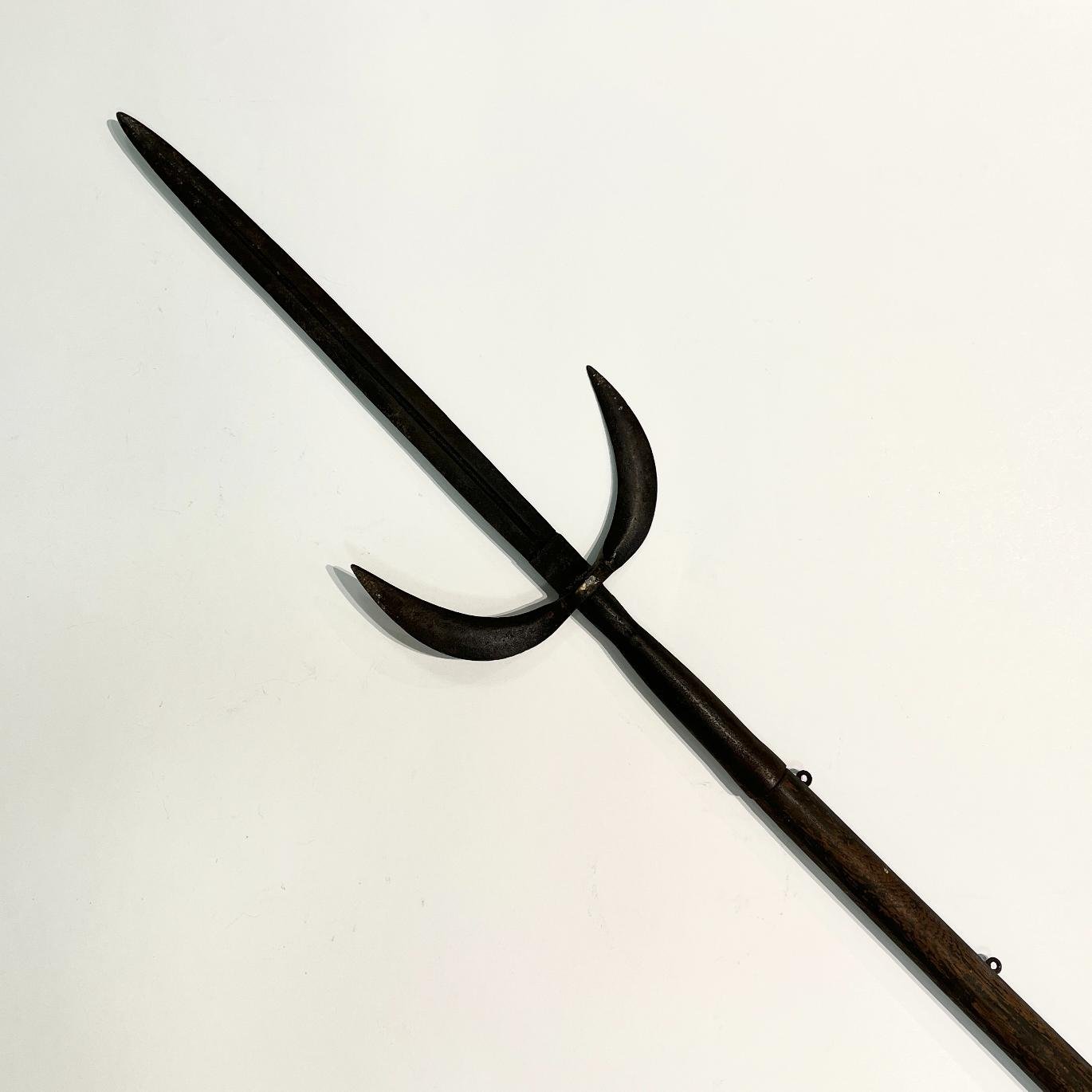 Lanza con medialuna en hierro