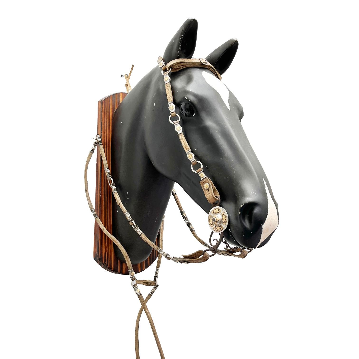 Juego de freno en plata y oro