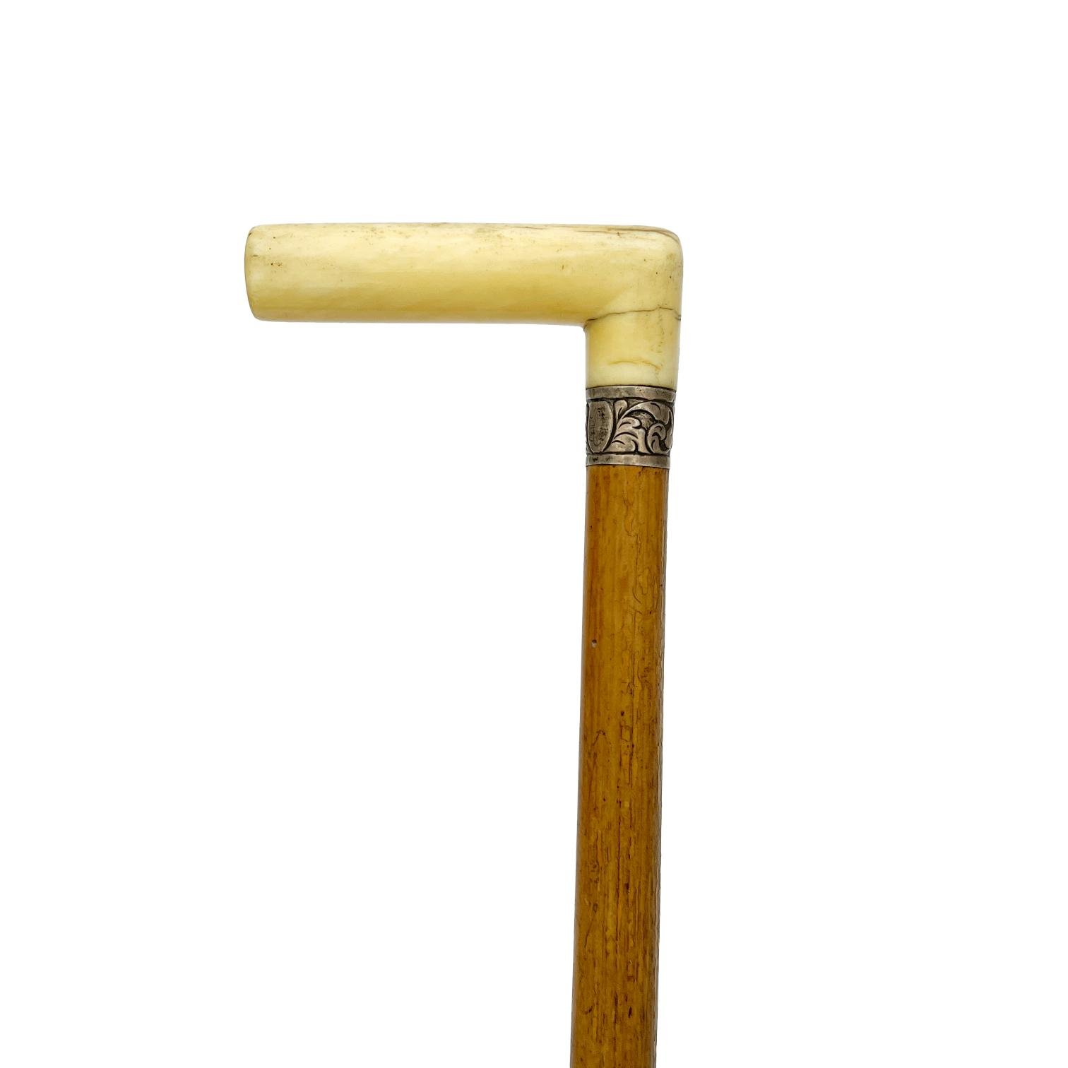 Bastón en caña, marfil y plata