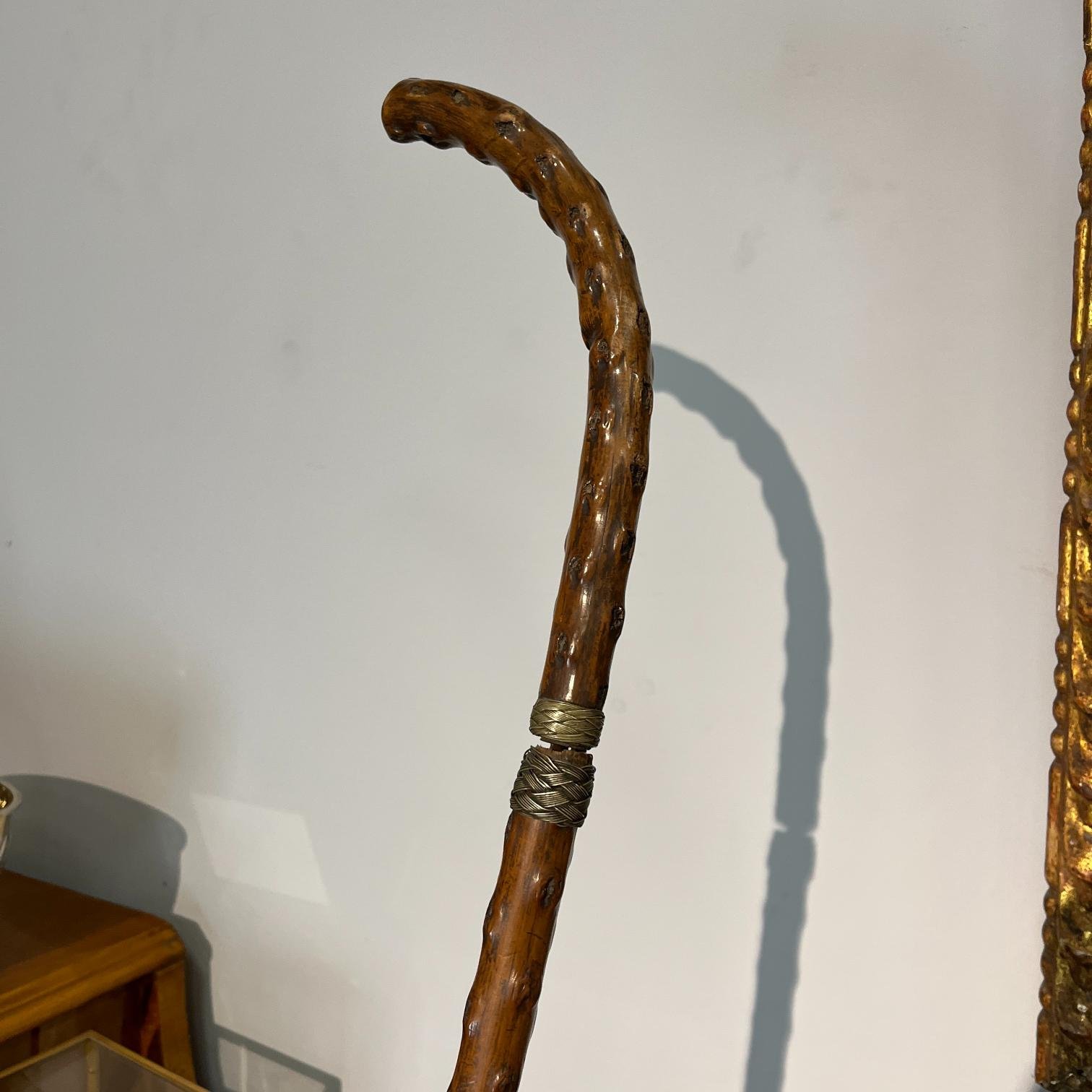 Bastón en madera, hierro y plata