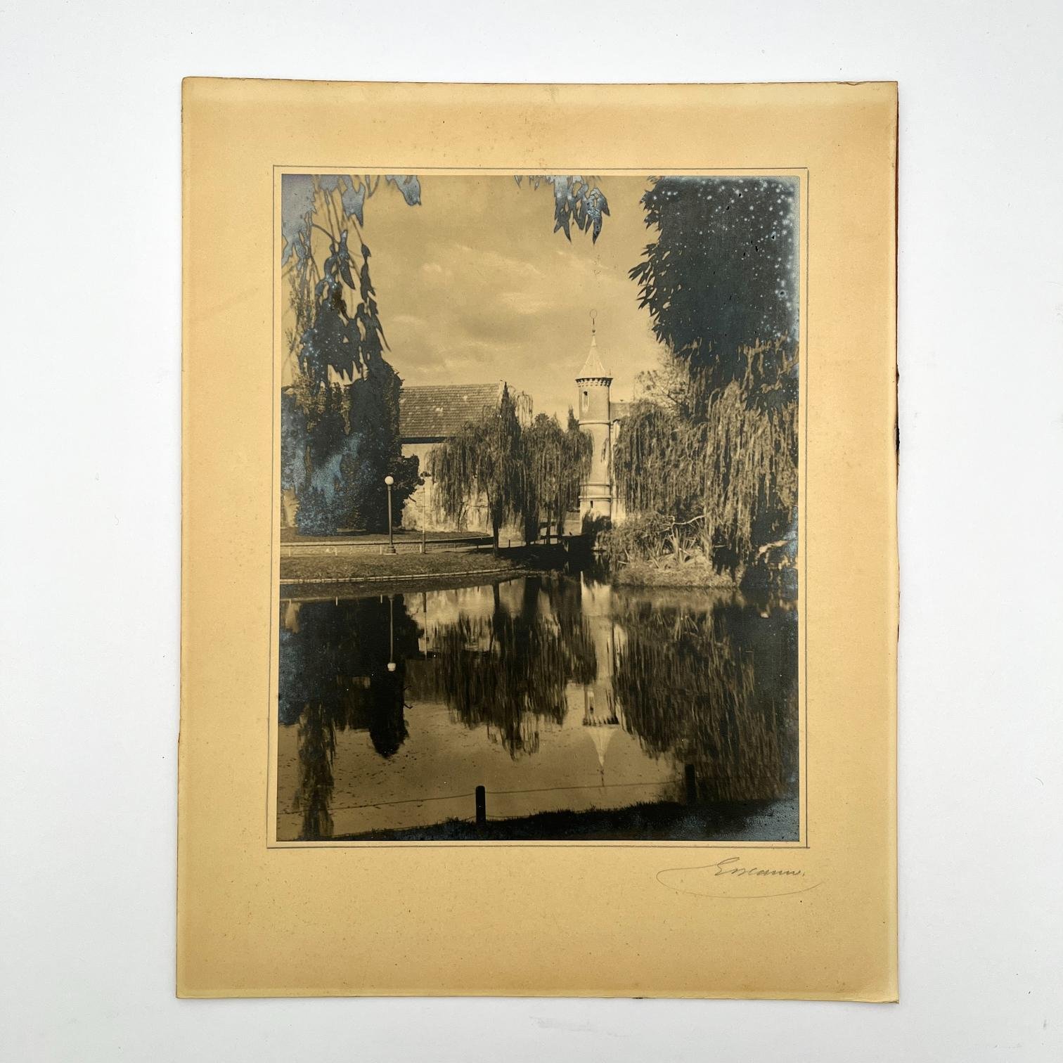 Fotografía "Parque Rodó"