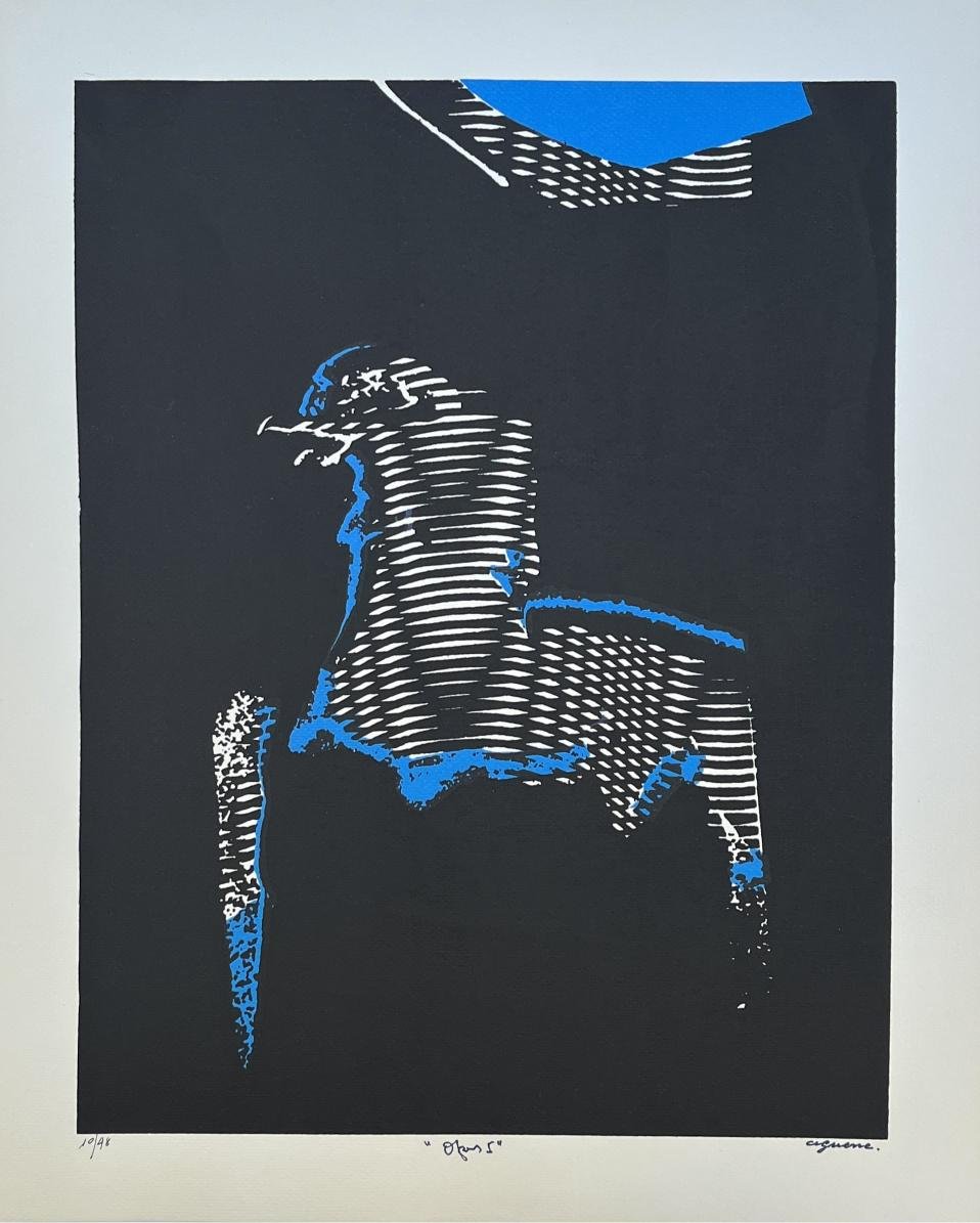 Rómulo Aguerre - Imagen 3