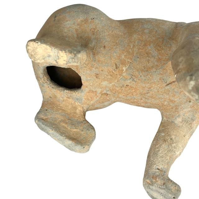 Escultura china en terracota "Perro" - Imagen 4
