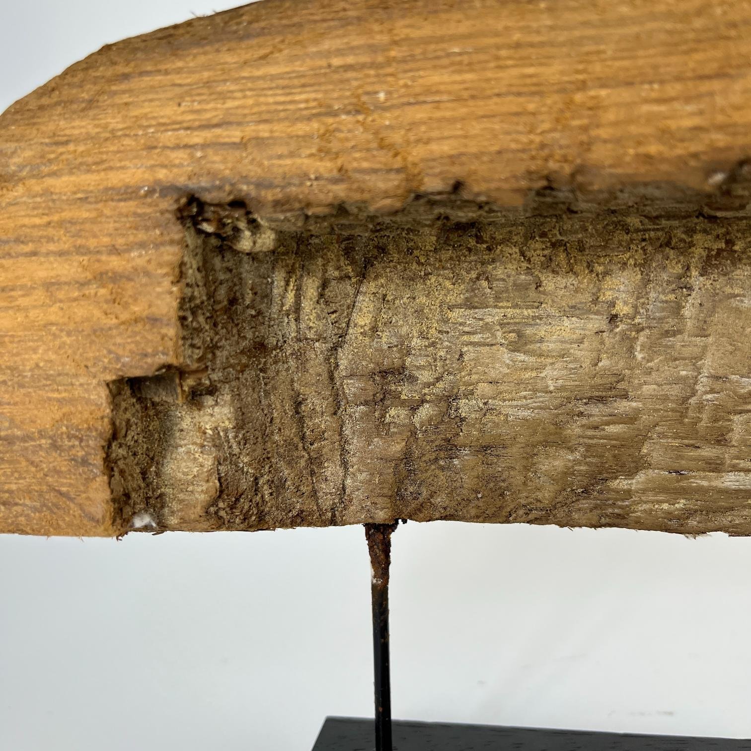 Fragmento de sarcófago egipcio - Imagen 5