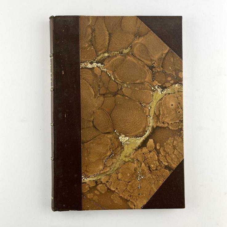 FEDERICO NIN REYES
Exposición de motivos y proyecto de reforma administrativa. - Imagen 2