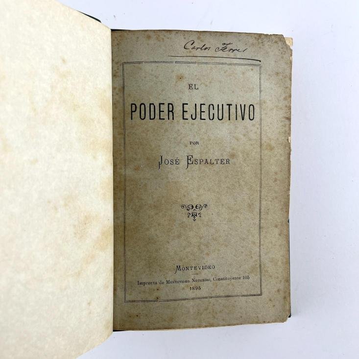 JOSÉ ESPALTER.
El Poder Ejecutivo.