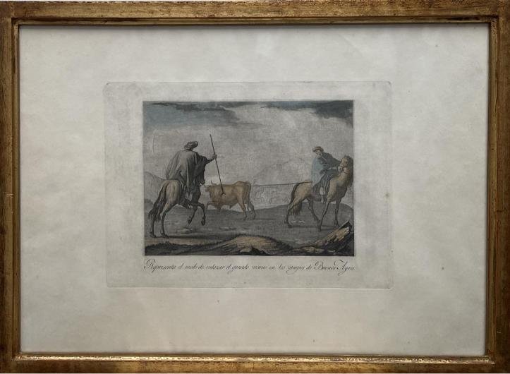 FERNANDO BRAMBILA - JUAN F. RAVENET. Representa el modo de enlazar el ganado vacuno en los campos de Buenos-Ayres. - Imagen 2